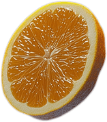 fruit