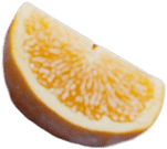 fruit